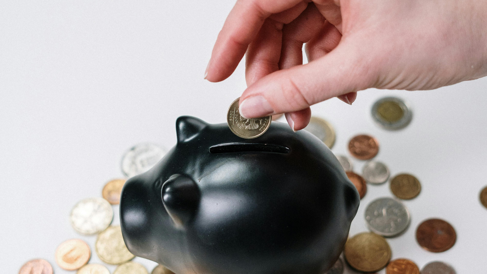 photo of the McCabe & Associates financial advisors